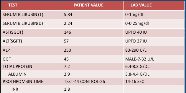 Liver Profile Blood Test